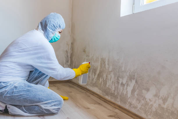Mold inspector in Woodbine performing thermal imaging